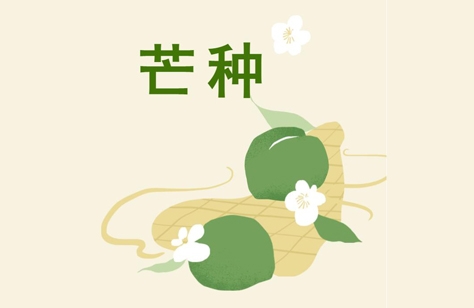 創(chuàng)洲木門(mén)丨芒種，是豐收也象征著新生